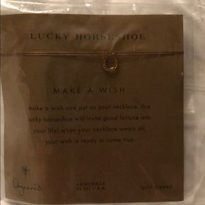 Dogeared lucky horse shoe necklace
